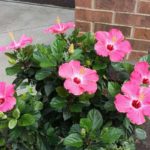 garden-mausoleum-planters